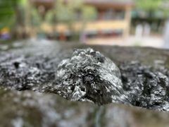 -铜锣湾·有麝自然香(重庆新天地店)