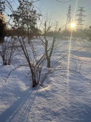 -Oasis Beauty水磨坊科技美肤中心