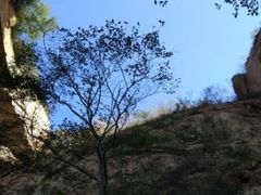 -北京密云天门山风景区