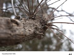 -北京西山国家森林公园