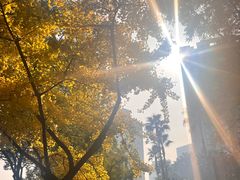 -上海不夜城广场(上海不夜城金融大厦店)