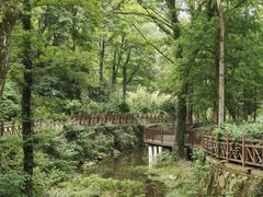 -素山寺森林公园