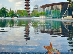 -龙华素斋(龙华路店)