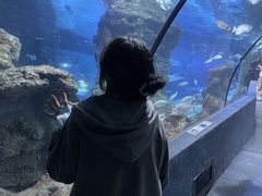 -南昌海洋公园