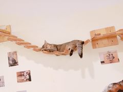 -喵匠猫主题咖啡(凯德和平广场店)