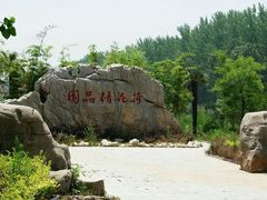-微山湖红荷湿地景区