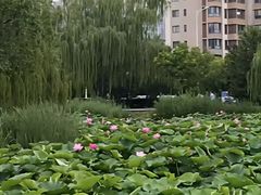 -南翠屏公园