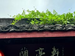 -阮氏酒家(柯桥店)