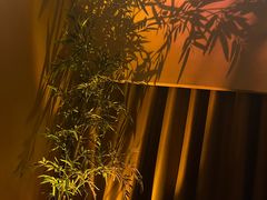 -宁采臣Sleep·采耳·SPA放松馆(湖里万达店)