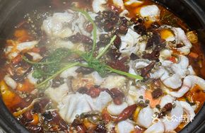 Boiling Fish and Shrimp Hot Pot