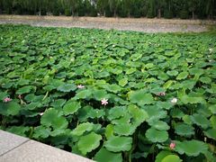 -北京天湖会议中心