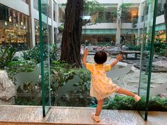 -麒麟中餐厅·经典粤菜·地道菜式老字号(广州长隆酒店)