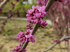 -元大都城垣遗址公园