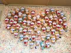 -柴犬高等学院·狗咖·柴犬售卖·宠物训练