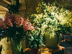 -春暖花开(西溪店)