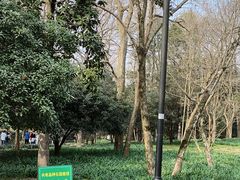 -杭州植物园
