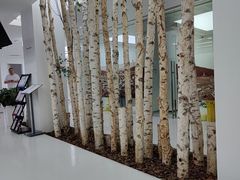 -极简口腔(总院)