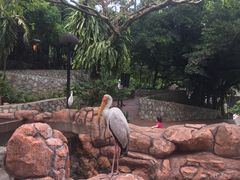 -吉隆坡雀鸟公园