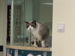 -安安宠医·安宠宠物医院