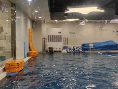 -蓝旗亲子游泳(范湖万达广场店)