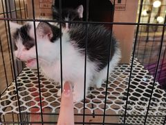 -财二舅火锅招待所