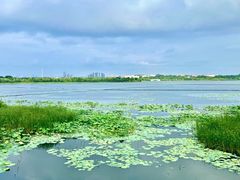 -东湖生态旅游风景区