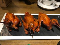 红烧乳鸽-大鸽饭(岗顶店)