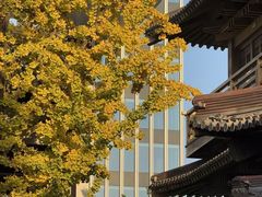-香积寺