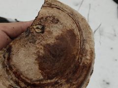 -三块石国家森林公园