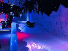 -梦幻奥陶纪景区