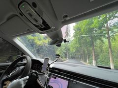 -江南天池