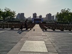 -莲花池公园