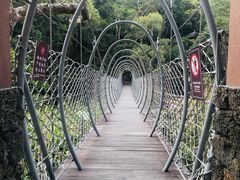 -海南热带雨林国家公园吊罗山景区