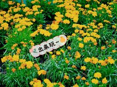 -南小馆(迪士尼小镇店)