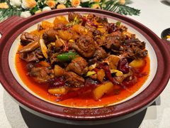 超大大大盘鸡-巴依老爷新疆美食(工体旗舰店)