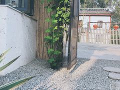 -云里小坐·小院里·团建·宴请·下午茶(三圣乡店)