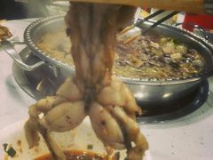 -麻辣巅峰美蛙鱼头火锅(犀浦店)
