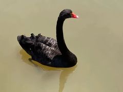 -南京金牛湖风景区