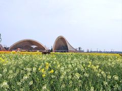 -中国天府农业博览园