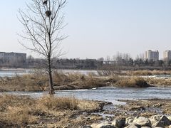 -绿堤公园