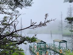 -瓦屋山景区