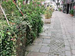 -川沙古镇-停车场