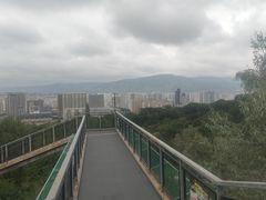 -青藏高原野生动物园