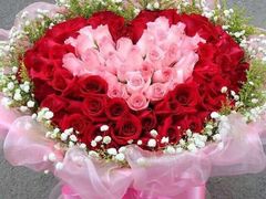 求婚花-容玉花店