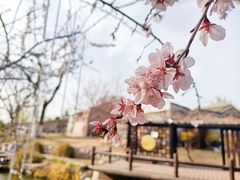 -三里河公园