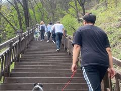 -陕西省红河谷森林公园