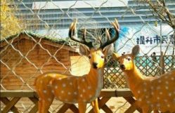 -萌宠亲子动物乐园(槐房万达店)