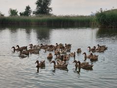 -野鸭湖国家湿地公园