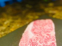 射和牛M9+级冷藏熟成和牛-觅福里•熟成和牛餐厅