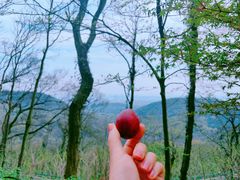 -老山国家森林公园